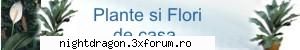 banere rubrici