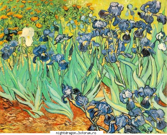 foto tablouri van gogh irisi