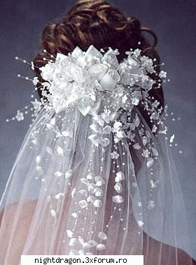 Accesorii mirese - voal vazut din spate - Moda Femei