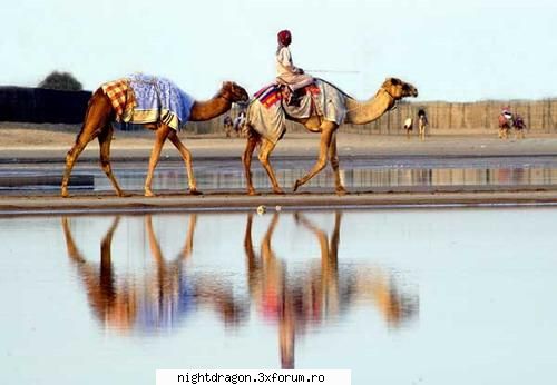 Alte tari ,orase,regiuni -Dubai - Karmella - Locuri frumoase