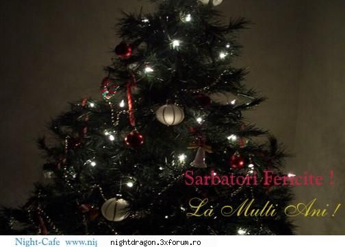 Felicitari de Craciun si An Nou , pentru cei dragi - NightDragon - Sarbatori