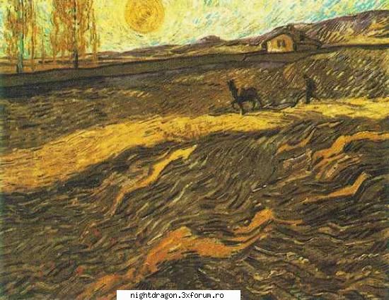 Foto tablouri Van Gogh - miriam - Pictura