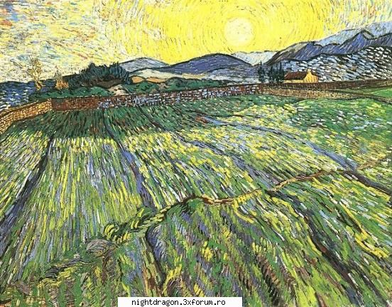 Foto tablouri Van Gogh - Camp cu rasarit de soare - Pictura