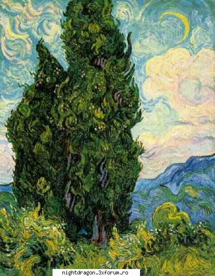 Foto tablouri Van Gogh - miriam - Pictura