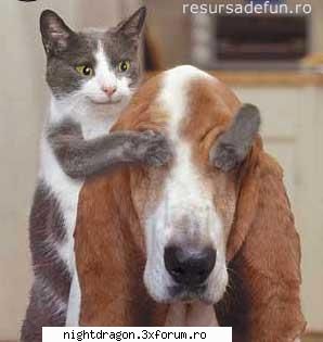 Funny 1 - miriam - Amuzante