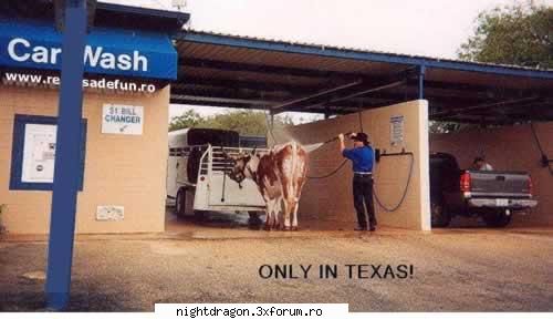 Funny 1 - spalatorie texana - Amuzante