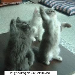 Funny 1 - gimnastica de inviorare - Amuzante