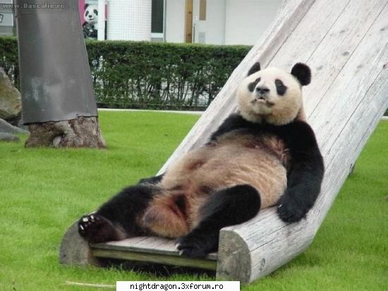 Funny 1 - Sa ma odihnesc si eu un pic - Amuzante