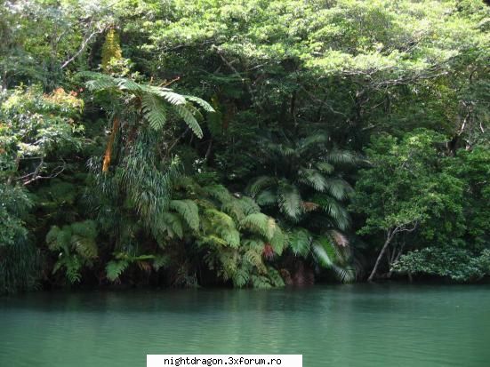 Galerie foto -locuri frumoase pe glob - insula Ishigaki - Locuri frumoase
