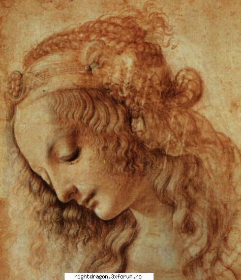 Leonardo Da Vinci 2 - Cap de femeie (desen) - Pictura