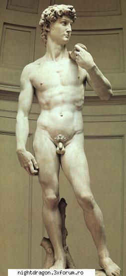 Michelangelo Buonarroti - David Statuia lui David ( ) a fost realizată - Sculptura