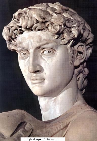 Michelangelo Buonarroti - David (detaliu) - Sculptura