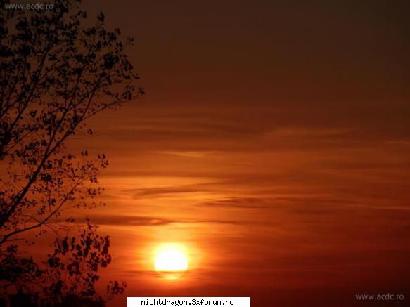 apus nocturne - galerie foto