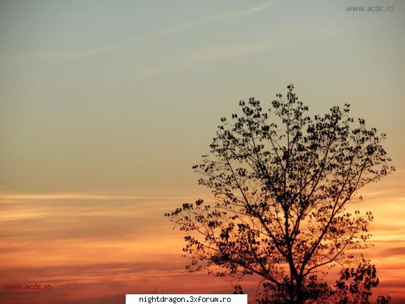 apus nocturne - galerie foto